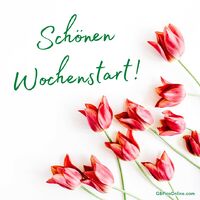 Schönen Wochenstart!