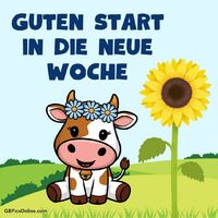 Guten Start in...