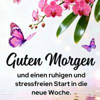 Pinkfarbene Orchideen und Schmetterlinge über Wasser mit Grußtext für einen ruhigen Wochenstart
