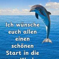 Delfin springt aus dem Meer vor blauem Himmel, dazu ein Gruß für einen schönen Start in die neue Woche