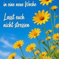 Gelbe Blüten vor blauem Himmel mit Gruß: „Schönen Start in eine neue Woche. Lasst euch nicht stressen.“