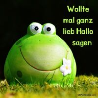 Ein fröhlicher Frosch begrüßt den Frühling mit einem Lächeln.
