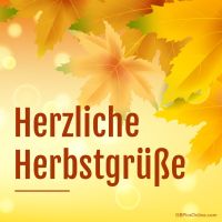 Goldene Herbstblätter schweben leicht im warmen Herbstlicht.