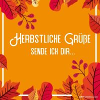 Warmes Herbstlaub in leuchtenden Farben lädt zum Genießen der friedlichen Jahreszeit ein.