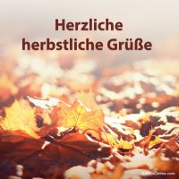Herbstlicht fängt die Schönheit der fallenden Blätter ein.