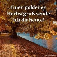 Herbstliche Pracht am ruhigen Seeufer, ein Fest für die Augen in warmen Goldtönen.