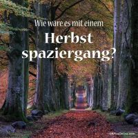 Ein malerischer Weg umgeben von herbstlich gefärbten Bäumen lädt zum Verweilen ein.