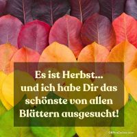 Ein buntes Kaleidoskop aus Herbstblättern, das die Jahreszeit in all ihrer Pracht einfängt.