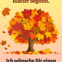 Die Zeit der bunt...