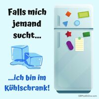 Ein lustiges Versteck für heiße Tage: Im Kühlschrank bleibt man cool!