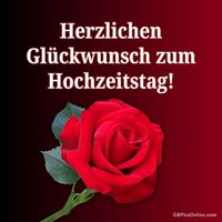 Eine rote Rose, Symbol der Liebe, zur Feier eures besonderen Tages.