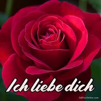 Ich liebe dich.
