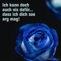 Eine blaue Rose in tiefem Mysterium, ein Symbol für das Unerreichbare und Wundersame.