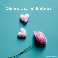 Zarte Gefühle und blühende Zuneigung auf sanftem Türkis.