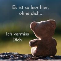 Ein kleiner Teddy blickt sehnsüchtig in die Ferne, umgeben von der Ruhe der Natur.