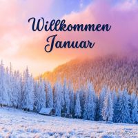 Ein frostiger Morgen begrüßt das neue Jahr in einem verschneiten Winterwald.