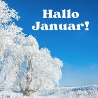 Winterwunderland erwacht - der Zauber des Januars hüllt die Natur in Stille und Frost.