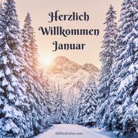 Ein magischer Wintermorgen zwischen verschneiten Tannen und Bergen.