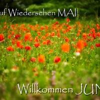 Auf Wiedersehen Mai!...