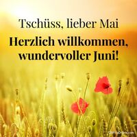 Tschüss, lieber...
