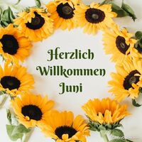 Ein Kranz aus strahlenden Sonnenblumen begrüßt die warmen Sommertage.