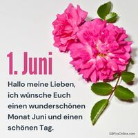 Ein leuchtendes Blumenarrangement begrüßt den Sommeranfang.