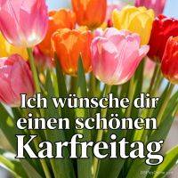 Bunte Tulpen in Rosa, Orange, Gelb und Rot mit Gruß zum Karfreitag