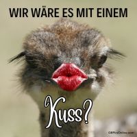 Ein Strauß bereit für den Laufsteg – perfekt geschminkte Lippen inklusive!