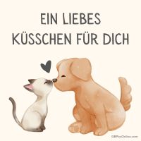 Zarte Freundschaft zwischen Welpe und Kätzchen.