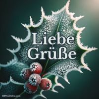 Ein frostiger Wintermorgen lässt die Natur in glitzerndem Weiß erstrahlen.