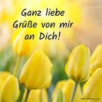 Sonnendurchflutete Tulpen, die Freude und Wärme ausstrahlen.