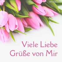 Ein Strauß frischer Tulpen in zartem Rosa, eine Freude für das Auge und das Herz.