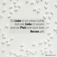 Die Liebe ist...