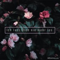 Ich lass Dich...