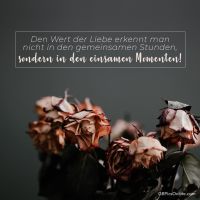 Den Wert der Lieb...