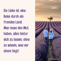 Die Liebe ist...