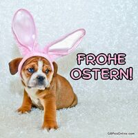 Frohe Ostern!