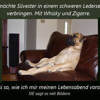 Ich möchte Silves...