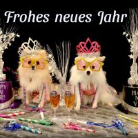 Frohes neues Jahr.