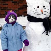 Katze in Menschen...