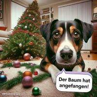 Der Baum hat ange...