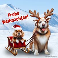 Frohe Weihnachten!