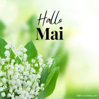 Frühlingsgrüße mit duftenden Maiglöckchen.