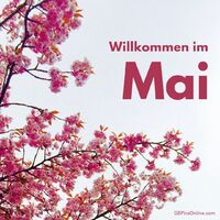 Blühende Kirschblüten begrüßen den Frühlingsmonat mit leuchtenden Farben.