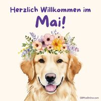 Frühlingsfreuden mit einem blumengeschmückten Freund.