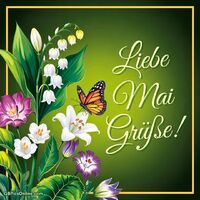 Ein bunter Schmetterling sitzt auf wunderschönen Frühlingsblumen. Die Farbenpracht bringt den Zauber des Monats Mai zum Ausdruck.