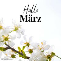 Frühlingsblüten künden die Ankunft des März an. Lebendige Natur erwacht zu neuem Leben.
