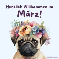 Ein Mops mit Frühlingsblumen gekrönt, grüßt den beginnenden März mit süßem Blick.