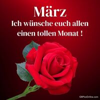 Eine strahlende rote Rose gegen einen rubinroten Hintergrund.