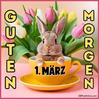 Ein Häschen grüßt frühlingshaft aus seiner gemütlichen Tasse.